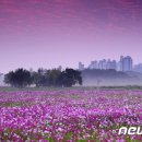 홍재호 농장 이미지