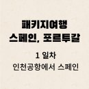 프리미 여행사 티스토리