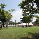 무궁화공원 농구장 이미지