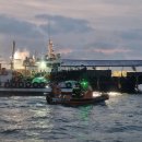 동해-단속-40 이미지