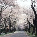 시립미술관(3 1 탑) 이미지