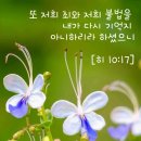 중앙성결교회 이미지