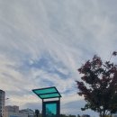 동촌유원지 서편주차장 이미지