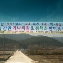 개나리길 이미지