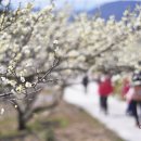 대화농장 이미지