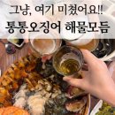 장평로 | 거제장평 통통오징어 맛집후기! 신선도 미쳤다..직접 어업하시는집이라고?!