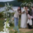 호텔송담 이미지