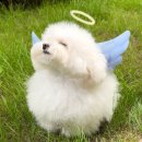 4월 28일 ~ 5월 4일 산수도인 별자리 운세 이미지