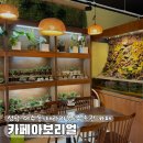 여수울로 | 성남카페 여수동 카페아보리얼 테라리움과 수족관이 있는 야탑카페 추천