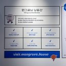 맹그로브 동대문 이미지