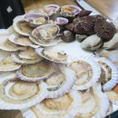 봉곡조개마당 이미지