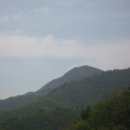 백두농장 이미지