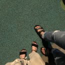 돈이최고야돈이 이미지