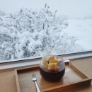 커피하우스117 이미지