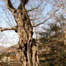 내산서원 이미지