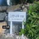 그린나무영월 이미지