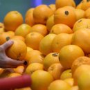 함바위굴밥 이미지