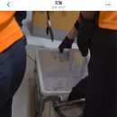 대원오토월드 이미지