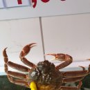 대성수산대게직판점