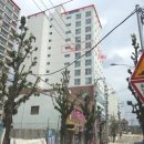 차성남로 이미지