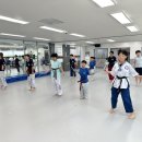 용인대 국가대표 김병태 태권도장 이미지