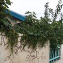 구암동455 | 대전 벽화마을, 현충원역 근처의 '구암동 벽화마을'