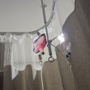 수일로233번길 | 난임일기 #32. 요즘 근황, 덕밍아웃🫢, 시험관 7차 시작