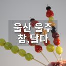 참;달다 이미지