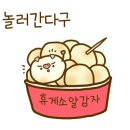 매화반점 이미지