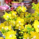 샤론화원 이미지