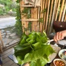 하우스못골 네이버블로그