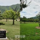 감쪽같이 이미지