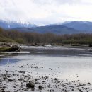 엘와이지 이미지