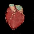 장기시장 이미지