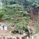 정자천 이미지