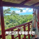 백년카공업사 | 백년고가 우휴야 오키나와 츄라우미 맛집 예약 주차 가격