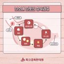 유익한한의원 네이버블로그