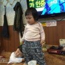 순종철판동태찜 네이버블로그