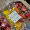 농업회사법인 (주) 케이알팜 | 강진군 탐진들 파프리카, 아삭한 식감과 영양 가득한 건강 후기