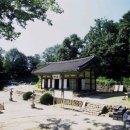 DMZ, 평화의 편지 이미지