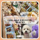 베이커리 교육 | 100% 쌀로 만든 건강한 디저트 맛집, 강화도 시골농부 쌀 베이커리 카페 내돈내산 후기