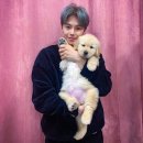 박은석 카카오 검색결과