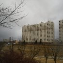 포항시남구27 이미지