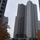 대방노브랜드더시그너처 이미지