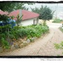 일도네민박 이미지