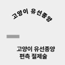 링크늘푸른동물병원 이미지