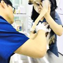 루이스24시동물병원 이미지