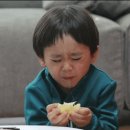 슈턴즈 이미지