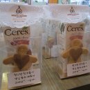 동탄프라임유치원 이미지