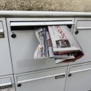 왕초보 요리교실(야) | [독일에서 살아남기]_ 34주 차: 하루가 24시간이 아니라 12시간 아님?